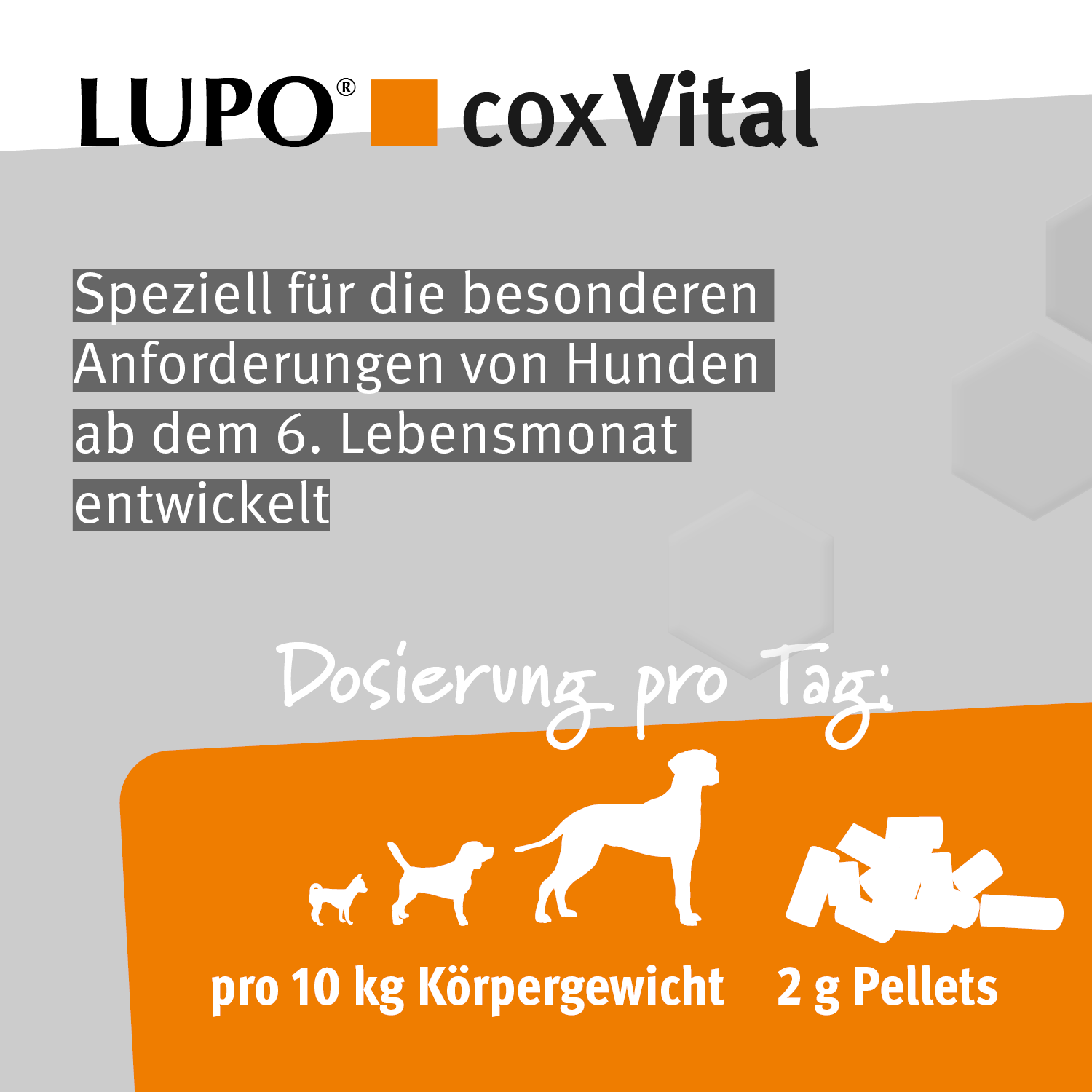 LUPO COX VITAL 1100 g